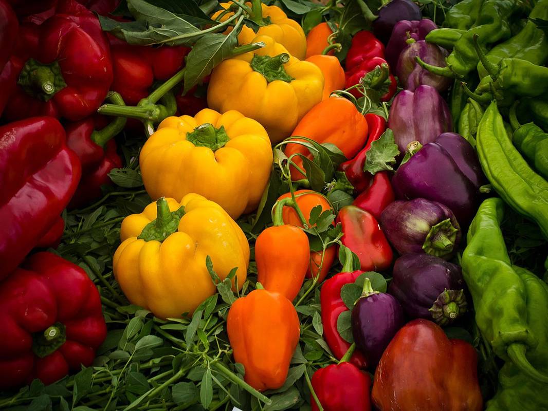 hortalizas-para-plantar-en-abril