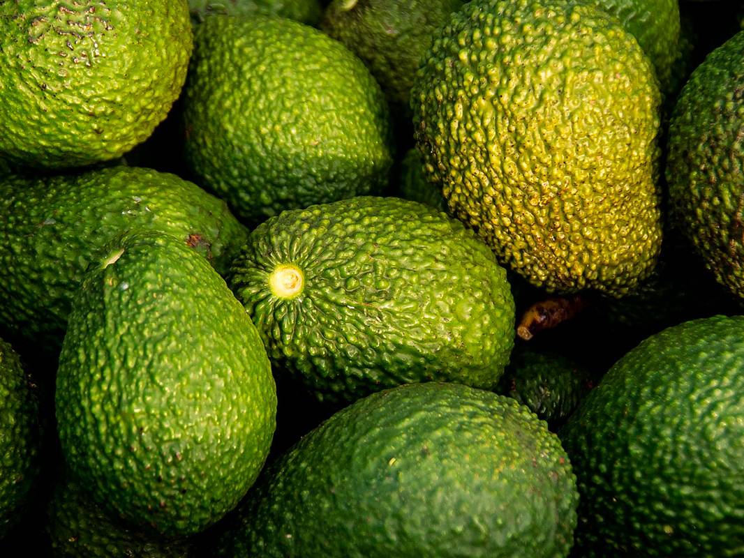 aguacates