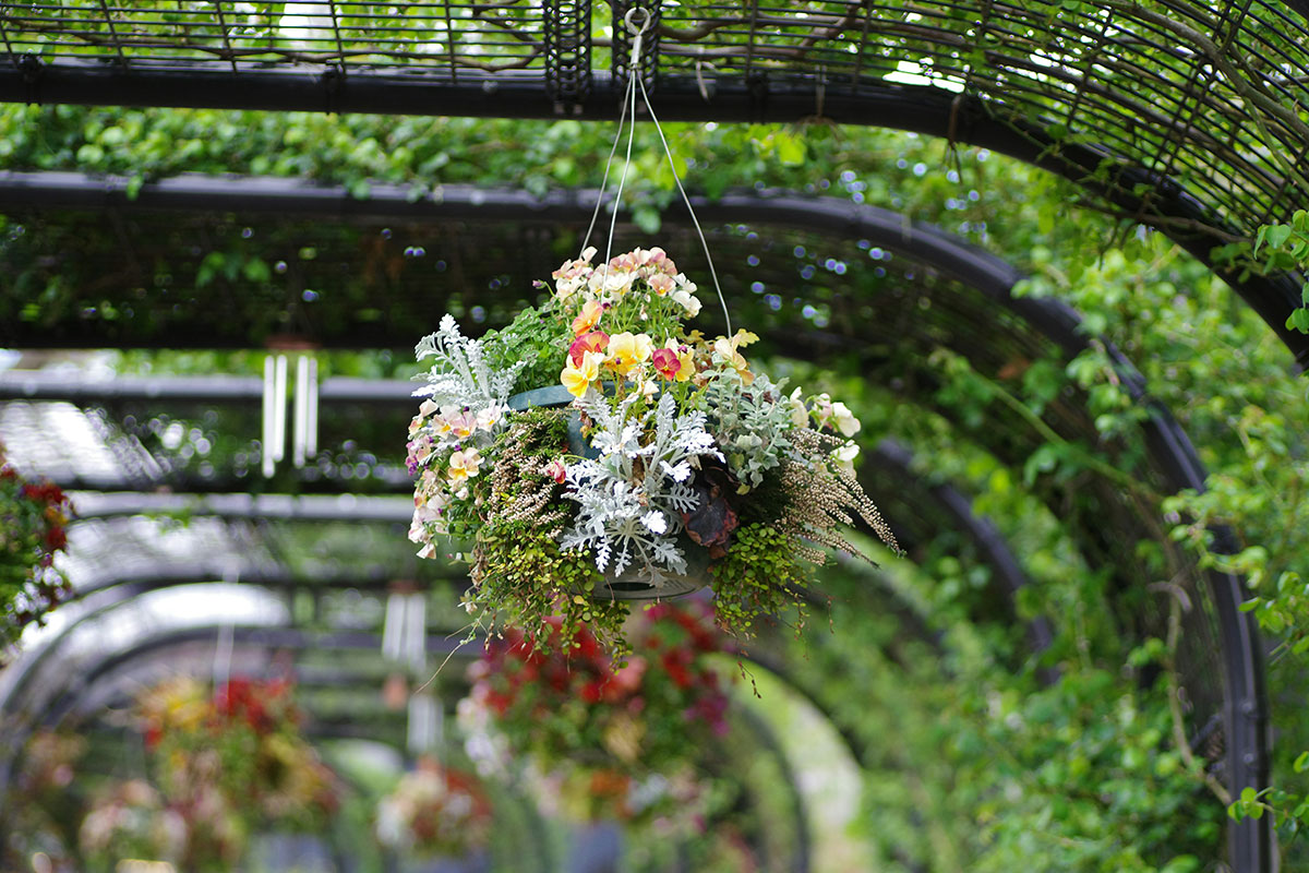 Arreglo floral colgante con flores variadas en un t&uacute;nel vegetal decorado para un evento al aire libre