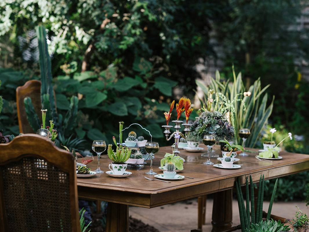 Mesa de madera al aire libre decorada con copas, candelabros y plantas suculentas, rodeada de vegetación exuberante en un jardín